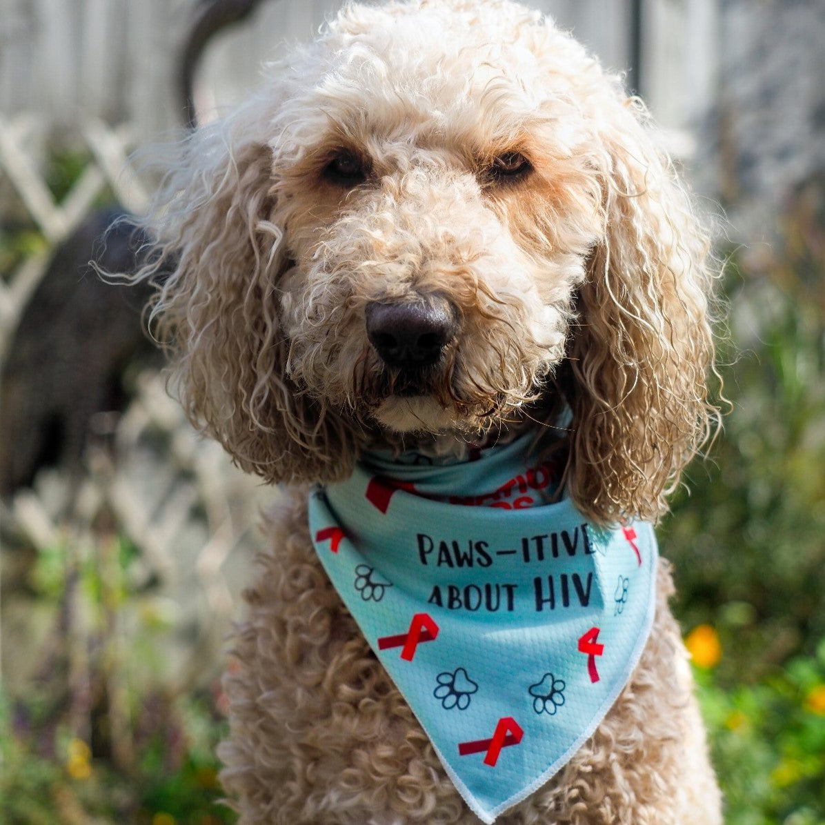 'Paws-itive about HIV' Dog Bandana