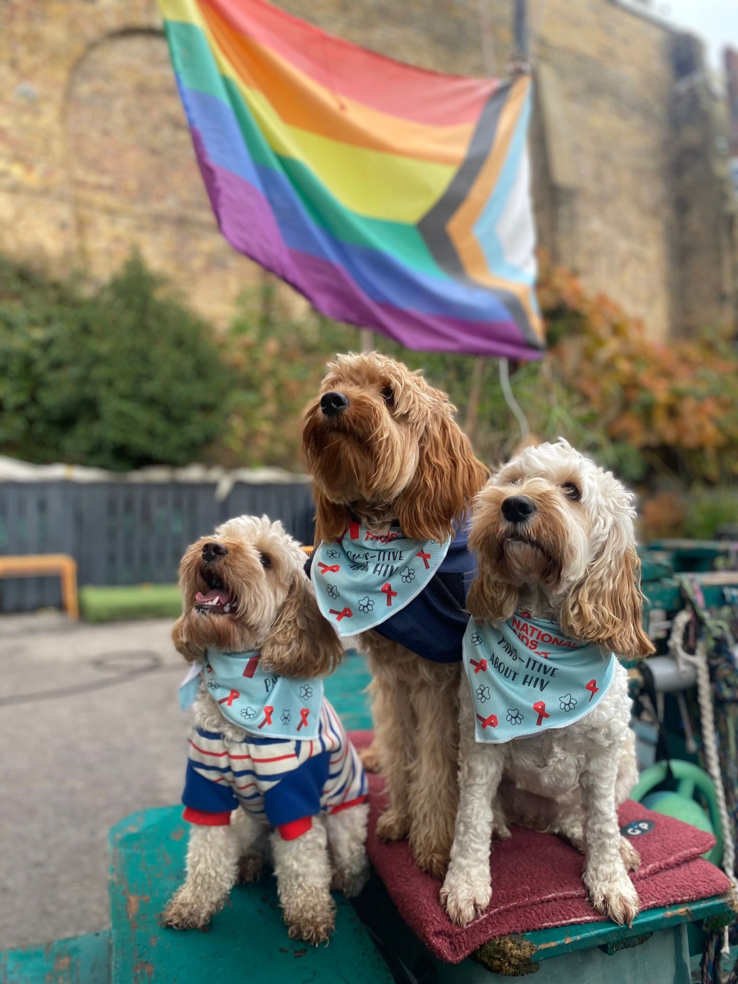 'Paws-itive about HIV' Dog Bandana